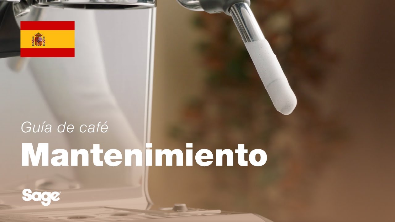 Cómo limpiar y desatascar la lanceta