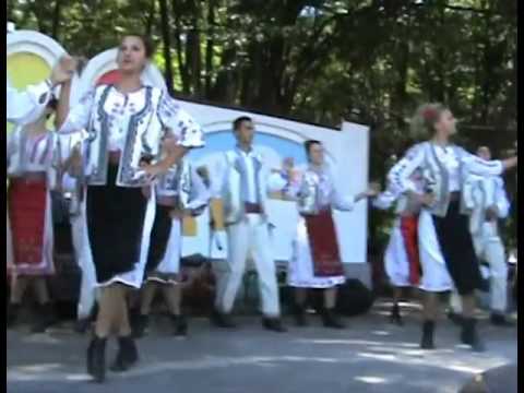 Reabilitarea caminului cultural din Arcani