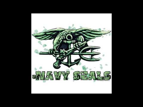 Navy Seals C64 remix gameboy