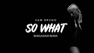 Sam Bruno ft. Rockie Fresh - So What (BORGANISM REMIX)
