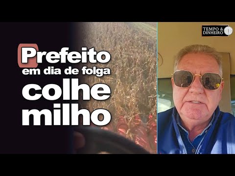 Milho em plena colheita em Nova Esperança do Norte, no Paraná mostra João Eduardo Pasquini