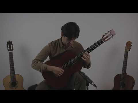 Jose Ramirez 1a classical guitar 1979 image 11