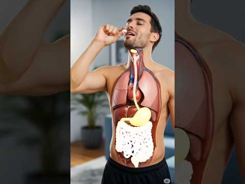 💊 What Happens When You Take Medicine? | 3D Human Body Animation Explained