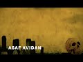 Asaf Avidan & the Mojos - Got it Right.mov 