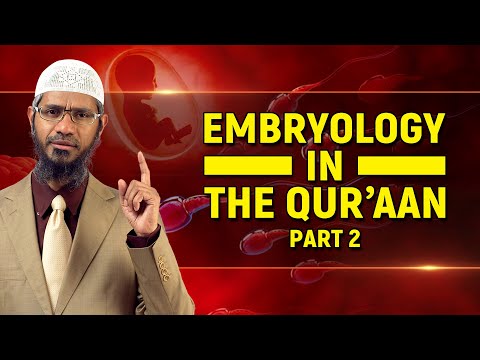 Embryology in the Quran – Part 2 - Dr Zakir Naik