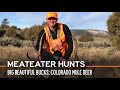 Big Beautiful Bucks: Colorado Mule Deer | S2E03 | MeatEater Hunts