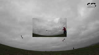 Spiderkites Shiva - erste Team-/Formationsflug Versuche