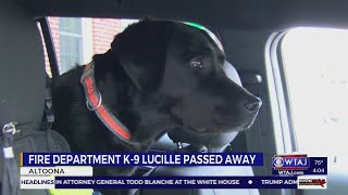 Altoona firefighters say goodbye to K-9 Lucille after sudden death | WTAJ