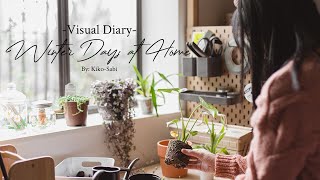 Visual Diary #11 | Spending my Winter Days at Home with New Indoor House Plants | DIY Storage Box