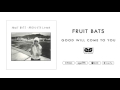 Good Will Come To You by Fruit Bats
