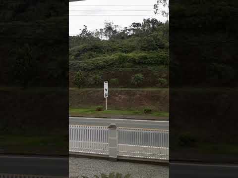 Airbnb em Nova Trento Santa Catarina #airbnb #novatrentonews #novatrento #shorts