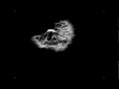 Layo & Bushwacka feat. Cevin Fisher - Dancing in the Dark (Guy Gerber & DJ Tennis Remix)