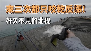 好久不見的北堤!太陽大咬~來三次都咬乾反漲!!#fishing #釣り #어업 #ตกปลา #pangingisda #釣魚