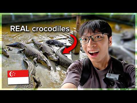 i spent a day at Singapore's LAST crocodile farm! (vlog)