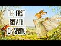 The First Breath of Spring | A Story of Love, Home, and Quiet Joy 🌿Cozy Spring Story & Gentle Music