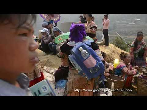 ベトナム花モン族の市場（カンカウ市場）