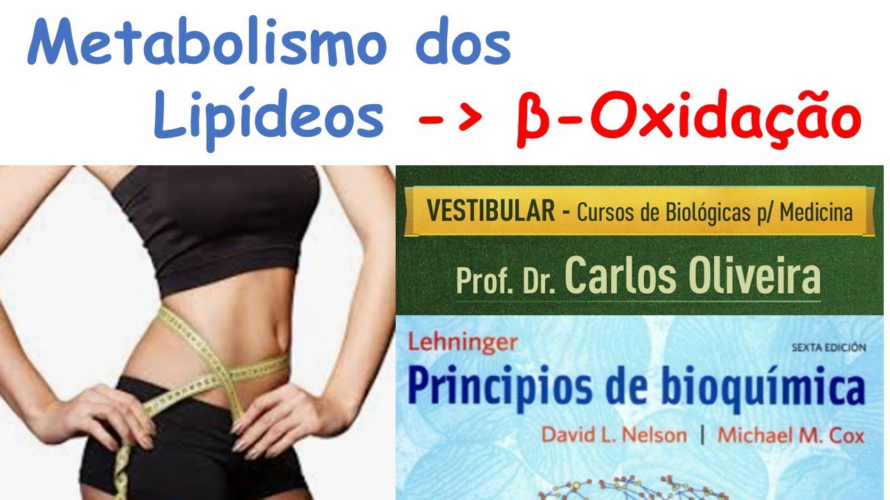 Metabolismo de lipídeos - Beta oxidação