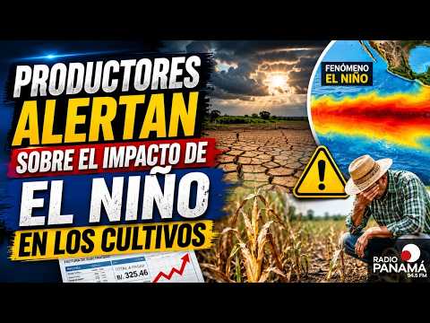 Productores de Herrera se preparan para el impacto de El Niño en sus cosechas