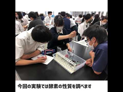 英語文化学科 【学校選び】関東学院　高校1年生　理科実験の様子