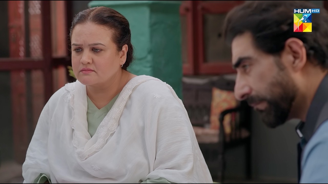 Shadi Karni Hai Tou Achi Nokari Chahye...! #mohsinabbashaider #alishbakhan | Musafat - HUM TV