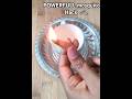 Kitchen Tips 50 Flies And Mosquitoes Will Flee From Your House With This Easy Hack