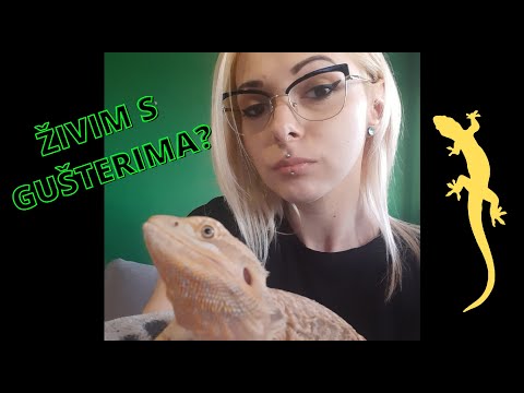 UPOZNAJTE GEU - moja bradata agama - Ena