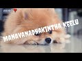 Yaare Kugadali Kannada Song Lyrics
