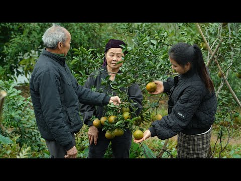 Landwirtschaftliche Techniken vom Landbesitzer lernen: Begeistert von seinem florierenden Hof