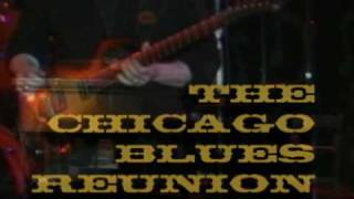 The Chicago Blues Reunion and more from the Live Oak Music Festival 2010