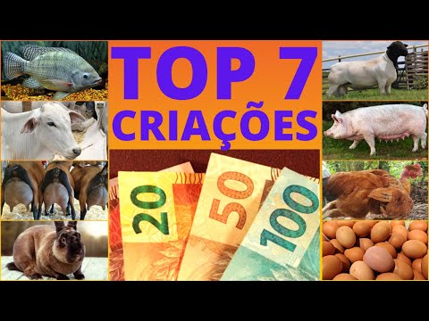 , title : 'TOP 7 CRIAÇÕES mais LUCRATIVAS da ROÇA. Invista de olhos fechados!