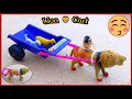 Diy How To Create 3d Lion Cart From Plastic Unique Idea Of Making Lion Trolley Dodhitv1