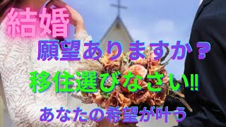 [夢も希望も持てない日本、もう飛び出せば!!]