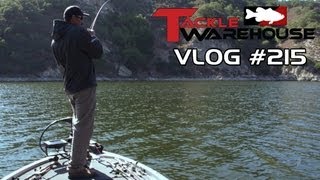 Fishing Jigs In The Fall with Jared Lintner