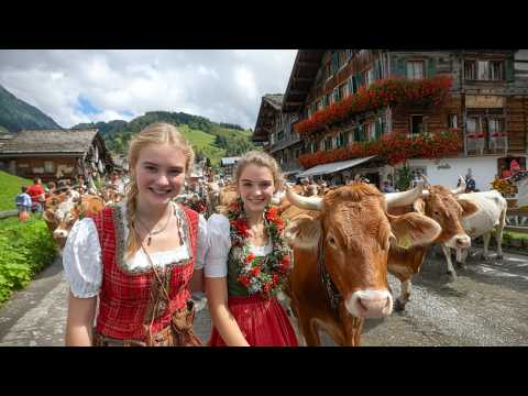 Hundreds of Swiss Cows Return from Alpine Pastures Home with Pretty Flowers