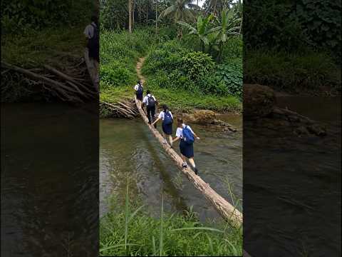The Complete Wooden Bridge Build: Piling, Decking, Handrails & Brick Approaches