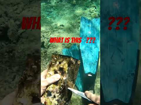 SH - 22 - A 💣 BOMB ??? 💣