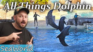 SeaWorld: A Dolphin Lover's Paradise