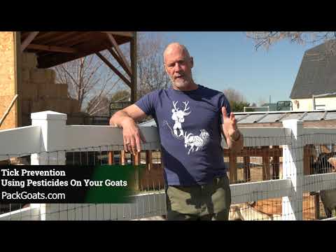 YouTube video about: Can you use dog flea treatment on goats?