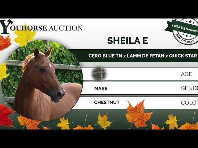 Sheila E. under the saddle