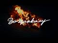 Mehringer - BOSZORKÁNY