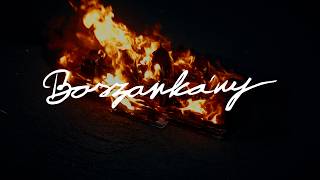 Cover art for Mehringer - Boszorkány