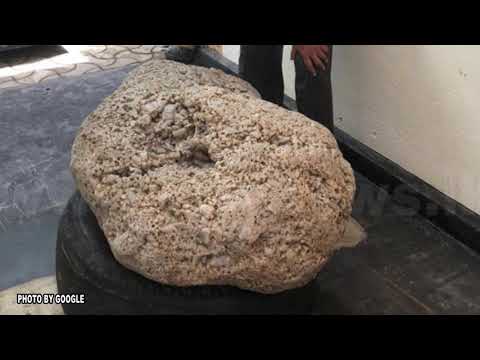 Top Channel/ Gjejnë “gurin” në oborrin e shtëpisë, ishte zafir 100 milionë dollarë!