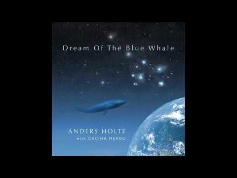 Dream Of The Blue Whale