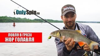 Голавль на отводной поводок в корягах