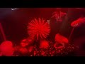 Elmo World Farms Intro