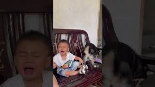 Download lagu Manyu's dark history 1 😅😅😅 mp3 Download lagu Manyu's dark history 1 😅😅😅 mp3