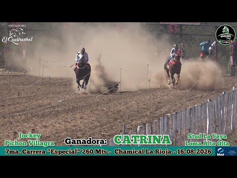 CATRINA (Olta La Rioja) Hipodromo El Quebrachal Chamical L. R. - 16-08-2026