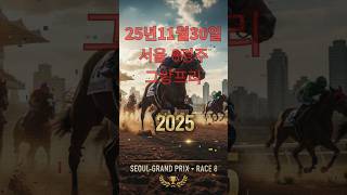 25년 11월 30일 일요일 서울8경주 그랑프리 출전마 분석 #그랑프리#경마번호#11월경마