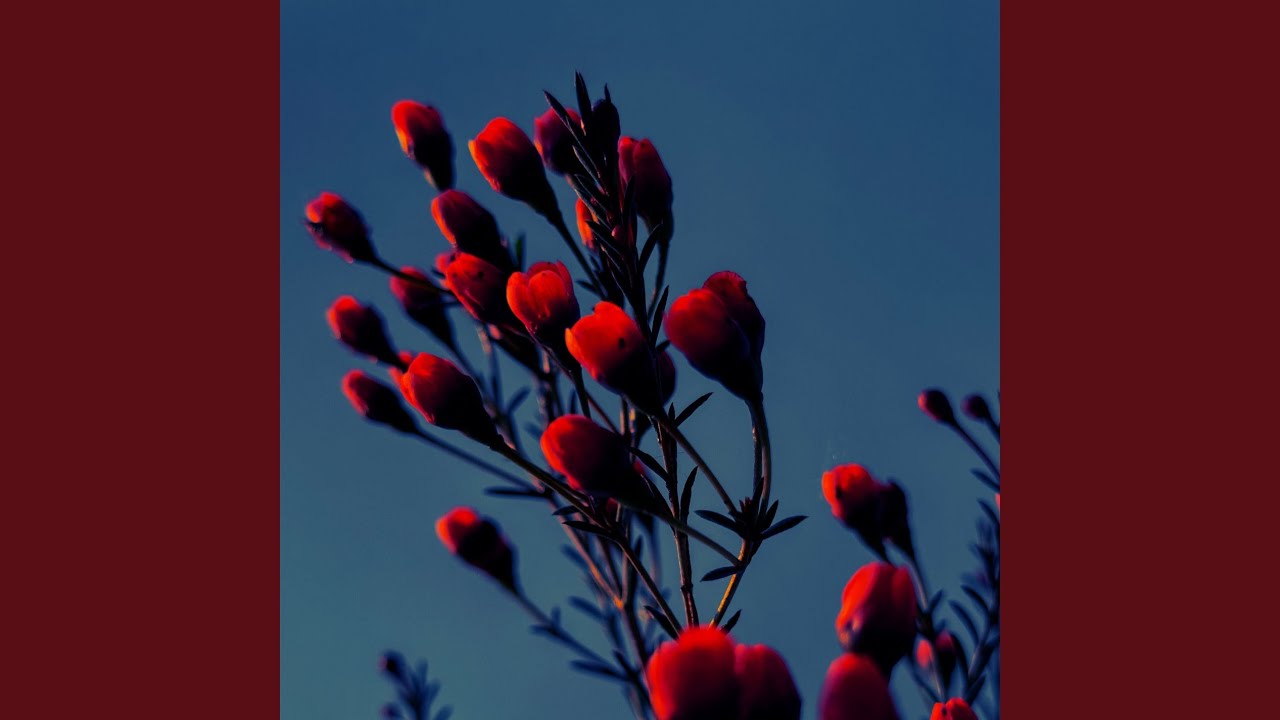 Love & War (TikTok Edit)