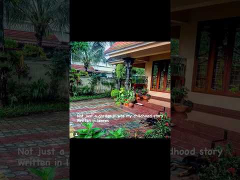 My garden from my school days | old photos #jishnuuthaman #garden